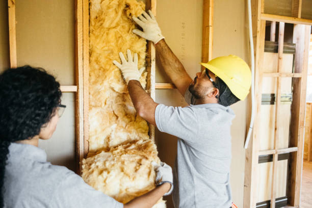 Best Wall Insulation Installation  in Mckinley, PA